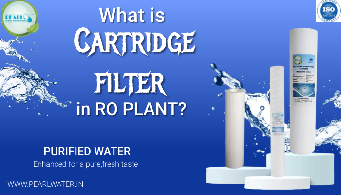 What is Cartridge Filter in RO Plant?